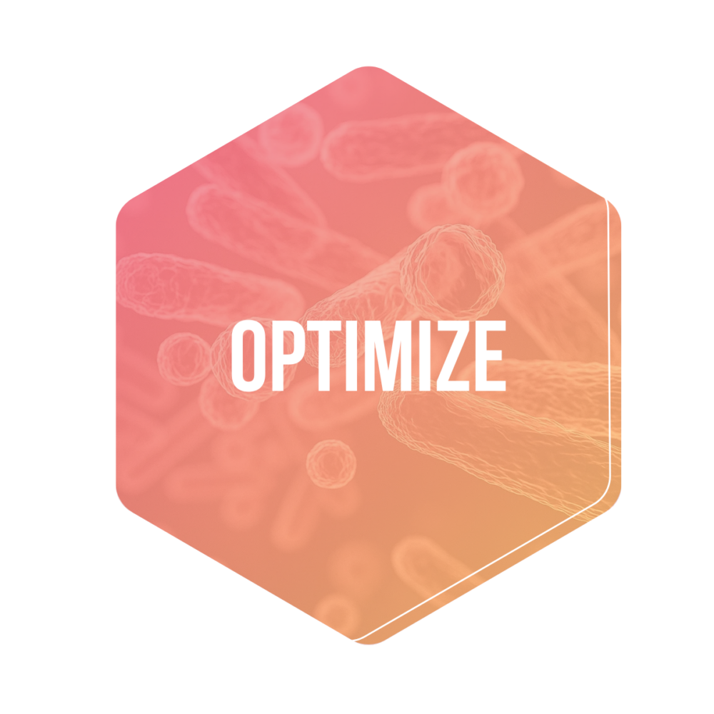 Microbioomtest - Sport pro Optimize
